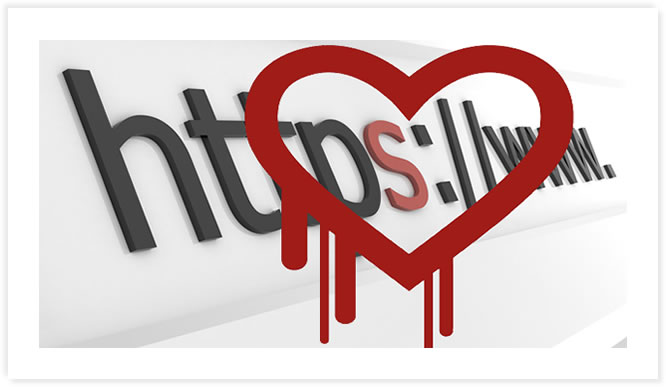 OpenSSL Heartbleed Bug